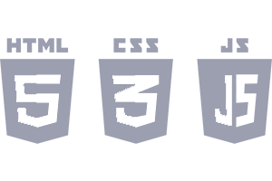 css3